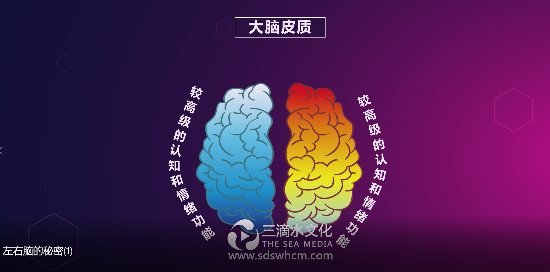 mg动画的出现引领了新一轮营销方式